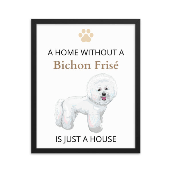 Poster mit Rahmen Bichon Frisé