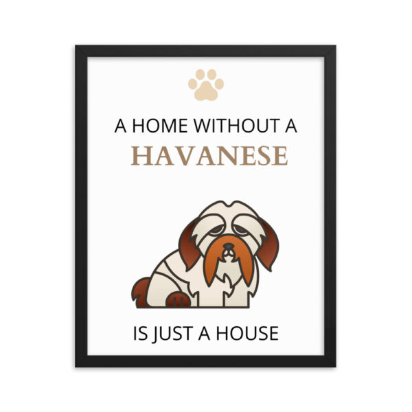 Poster mit Rahmen Havaneser
