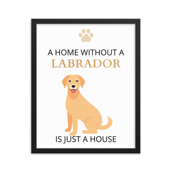 Poster mit Rahmen Labrador