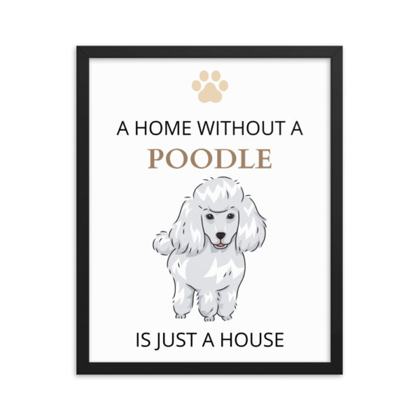 Poster mit Rahmen Pudel Motiv 1