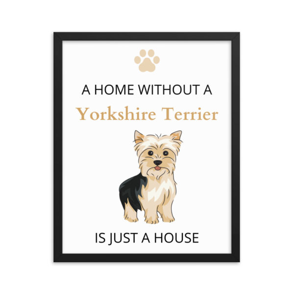 Poster mit Rahmen Yorkshire Terrier