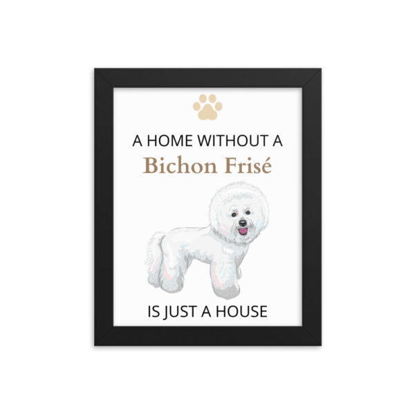 Poster mit Rahmen Bichon Frisé