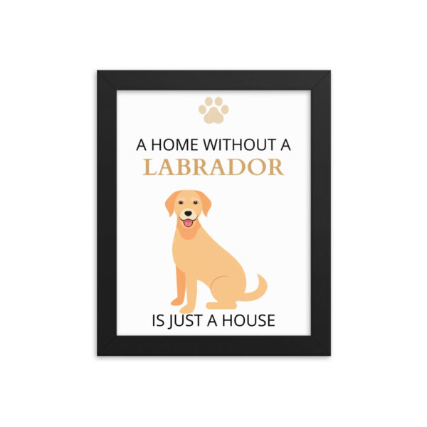 Poster mit Rahmen Labrador