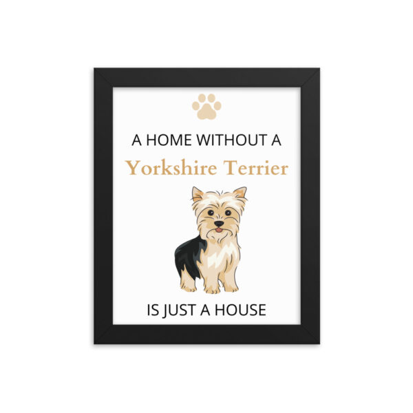 Poster mit Rahmen Yorkshire Terrier